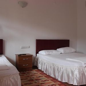 Standaard Double Kamer